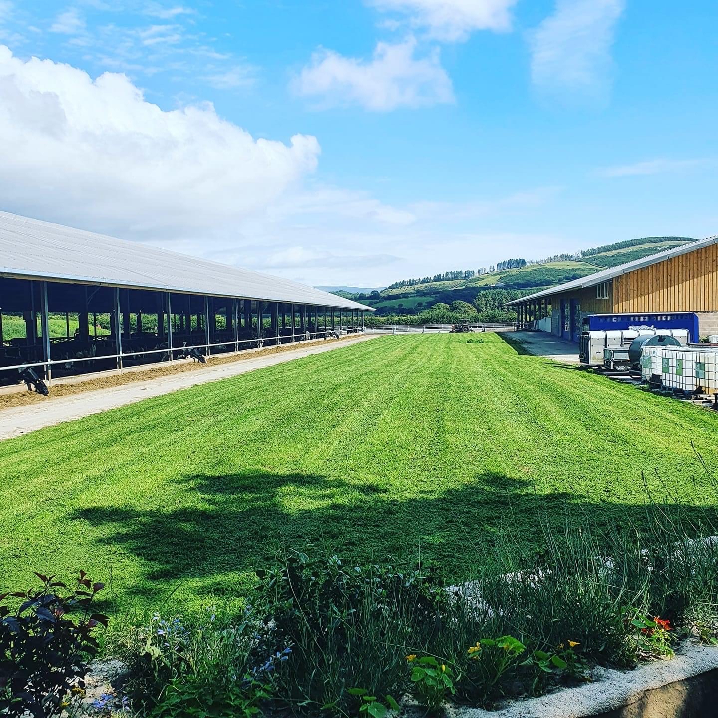 Home Red Rose Dairy Discussion Group